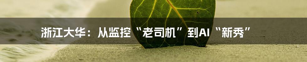 浙江大华：从监控“老司机”到AI“新秀”