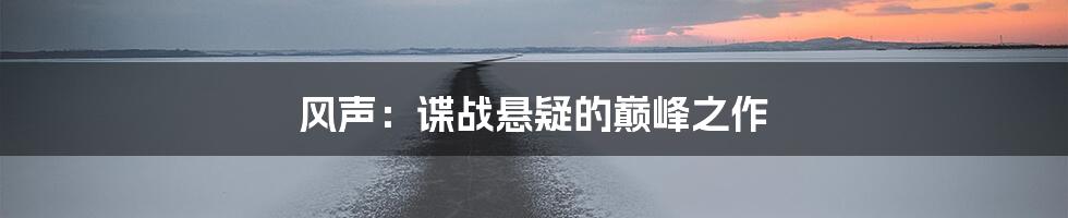 风声：谍战悬疑的巅峰之作