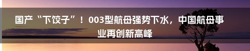 国产“下饺子”！003型航母强势下水，中国航母事业再创新高峰