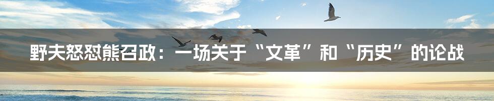 野夫怒怼熊召政：一场关于“文革”和“历史”的论战