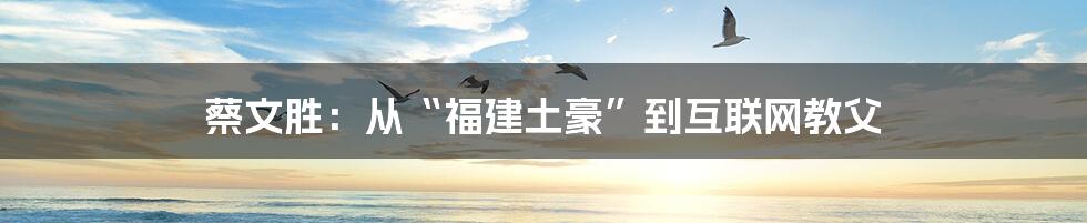 蔡文胜：从“福建土豪”到互联网教父