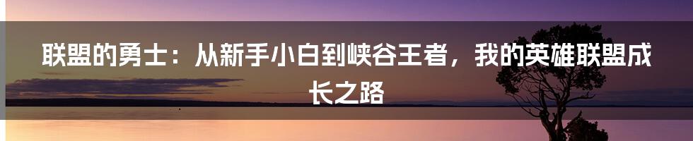 联盟的勇士：从新手小白到峡谷王者，我的英雄联盟成长之路