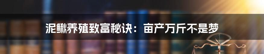 泥鳅养殖致富秘诀：亩产万斤不是梦