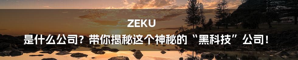 ZEKU 是什么公司？带你揭秘这个神秘的“黑科技”公司！