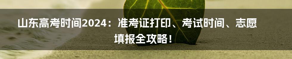 山东高考时间2024：准考证打印、考试时间、志愿填报全攻略！