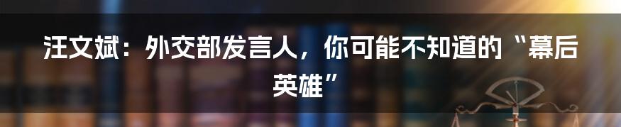 汪文斌：外交部发言人，你可能不知道的“幕后英雄”