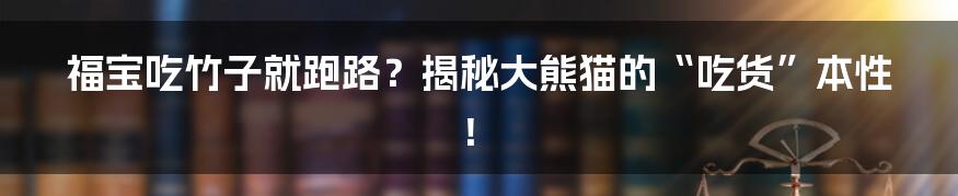 福宝吃竹子就跑路？揭秘大熊猫的“吃货”本性！