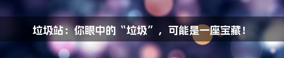 垃圾站：你眼中的“垃圾”，可能是一座宝藏！