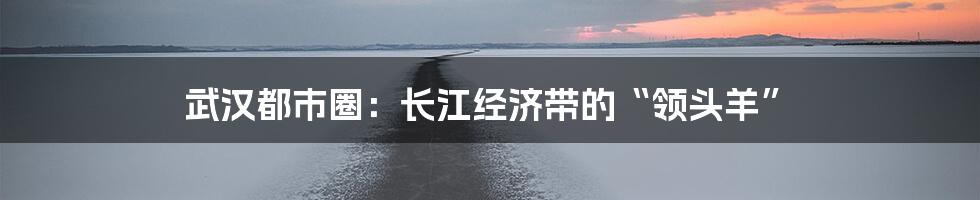 武汉都市圈：长江经济带的“领头羊”