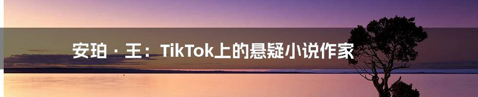 安珀·王：TikTok上的悬疑小说作家