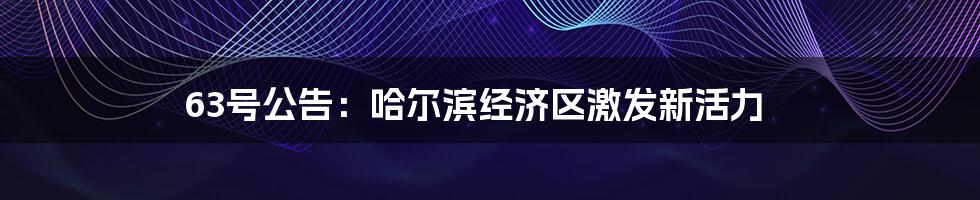 63号公告：哈尔滨经济区激发新活力