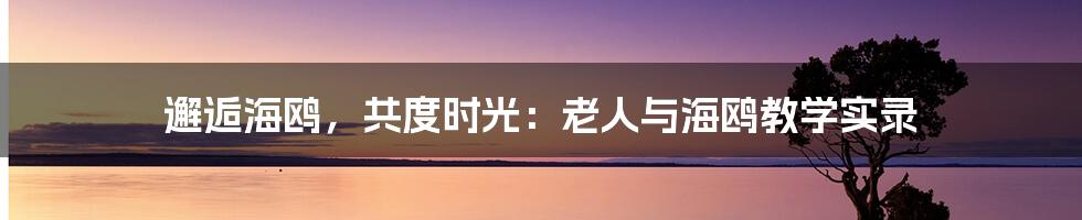 邂逅海鸥，共度时光：老人与海鸥教学实录