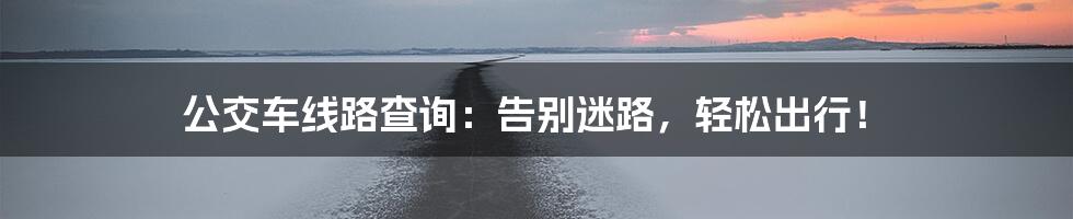 公交车线路查询：告别迷路，轻松出行！