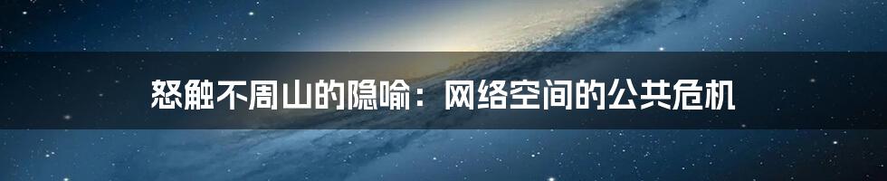 怒触不周山的隐喻：网络空间的公共危机