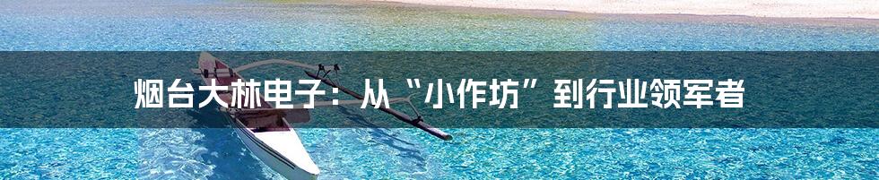 烟台大林电子：从“小作坊”到行业领军者