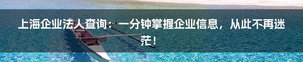 上海企业法人查询：一分钟掌握企业信息，从此不再迷茫！