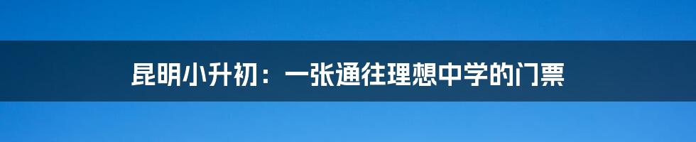 昆明小升初：一张通往理想中学的门票