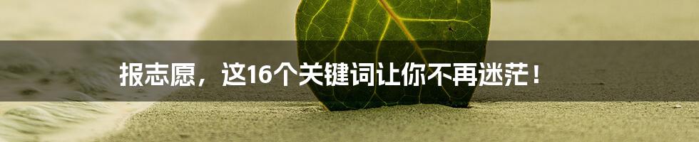 报志愿，这16个关键词让你不再迷茫！