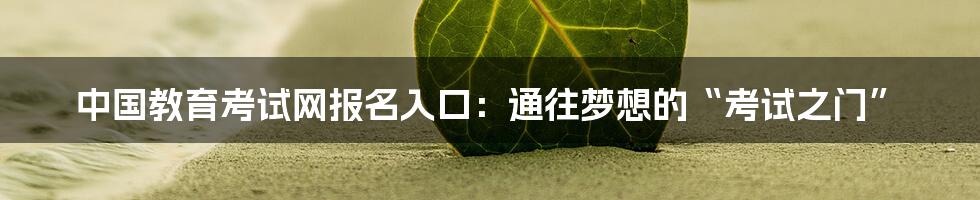 中国教育考试网报名入口：通往梦想的“考试之门”