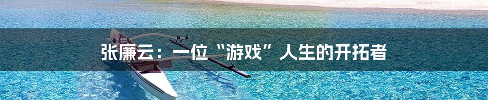 张廉云：一位“游戏”人生的开拓者