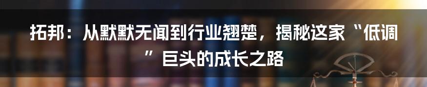 拓邦：从默默无闻到行业翘楚，揭秘这家“低调”巨头的成长之路