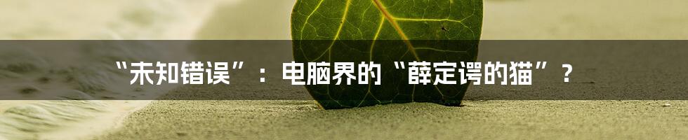 “未知错误”：电脑界的“薛定谔的猫”？