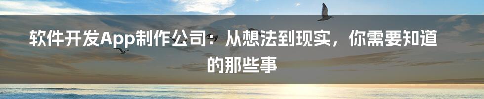 软件开发App制作公司：从想法到现实，你需要知道的那些事