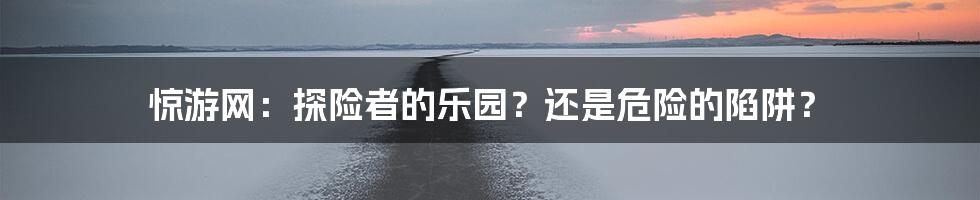 惊游网：探险者的乐园？还是危险的陷阱？