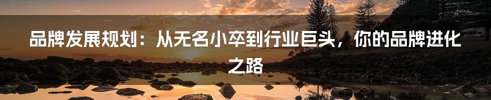 品牌发展规划：从无名小卒到行业巨头，你的品牌进化之路