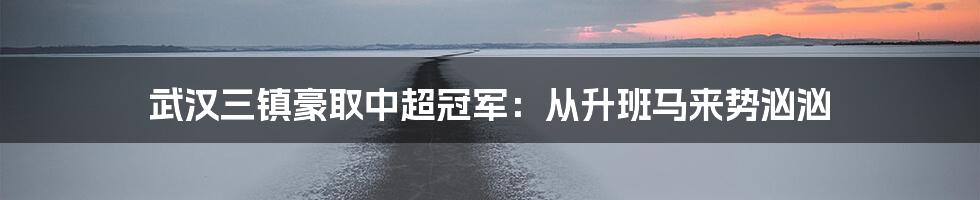 武汉三镇豪取中超冠军：从升班马来势汹汹