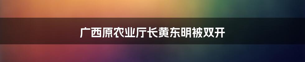 广西原农业厅长黄东明被双开