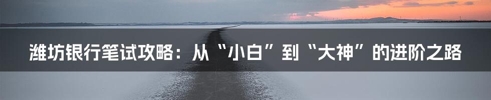 潍坊银行笔试攻略：从“小白”到“大神”的进阶之路