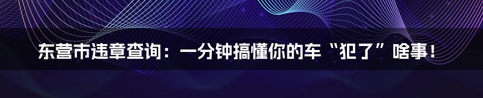 东营市违章查询：一分钟搞懂你的车“犯了”啥事！