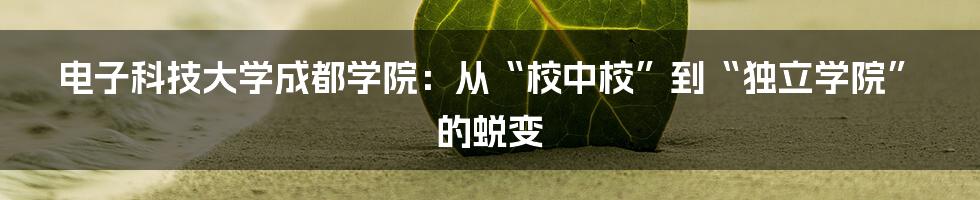 电子科技大学成都学院：从“校中校”到“独立学院”的蜕变