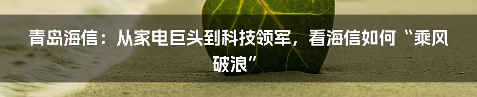 青岛海信：从家电巨头到科技领军，看海信如何“乘风破浪”