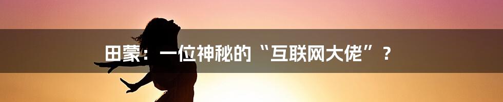 田蒙：一位神秘的“互联网大佬”？