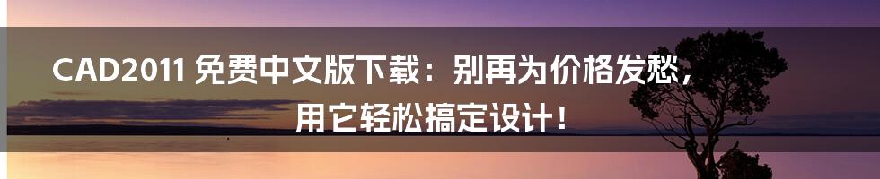 CAD2011 免费中文版下载：别再为价格发愁，用它轻松搞定设计！