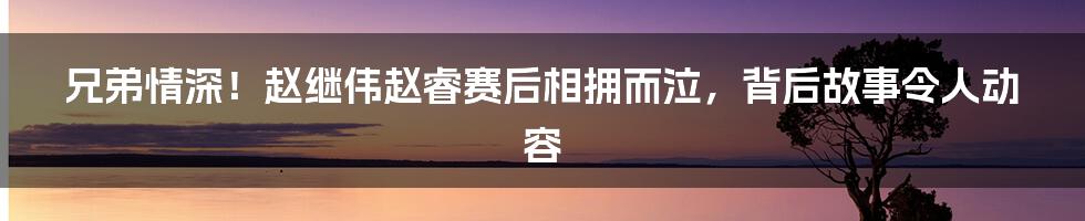 兄弟情深！赵继伟赵睿赛后相拥而泣，背后故事令人动容