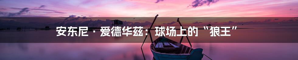 安东尼·爱德华兹：球场上的“狼王”