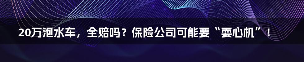 20万泡水车，全赔吗？保险公司可能要“耍心机”！