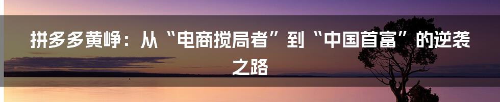 拼多多黄峥：从“电商搅局者”到“中国首富”的逆袭之路