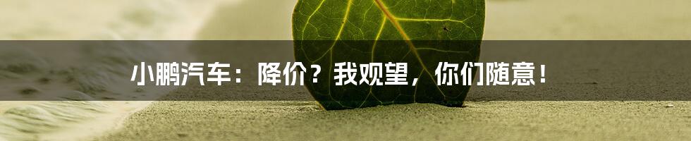 小鹏汽车：降价？我观望，你们随意！