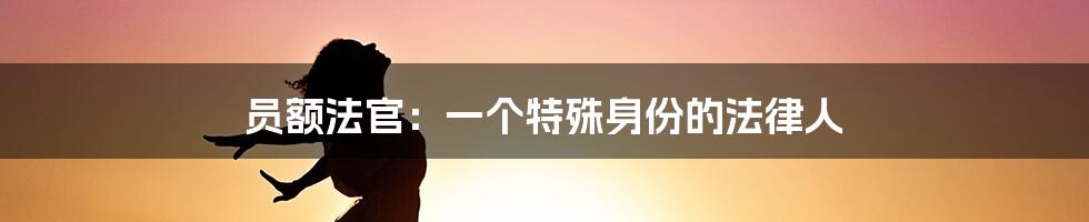 员额法官：一个特殊身份的法律人