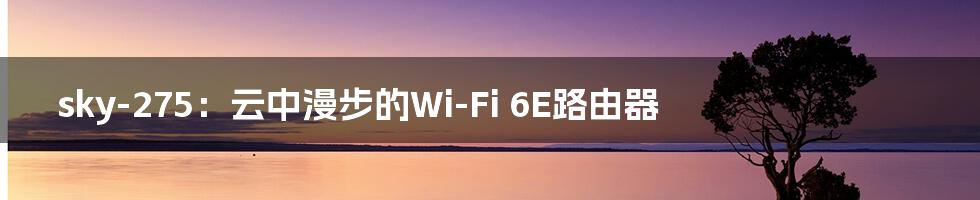 sky-275：云中漫步的Wi-Fi 6E路由器