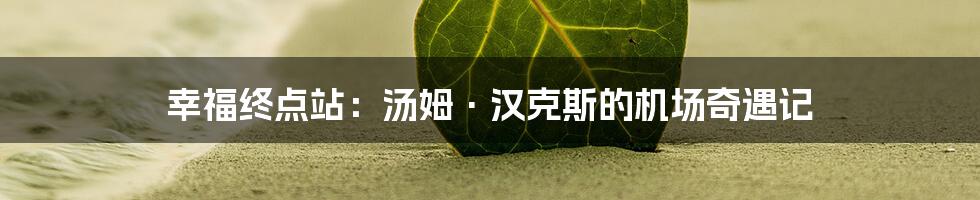 幸福终点站：汤姆·汉克斯的机场奇遇记