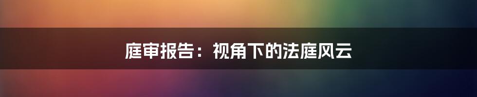 庭审报告：视角下的法庭风云