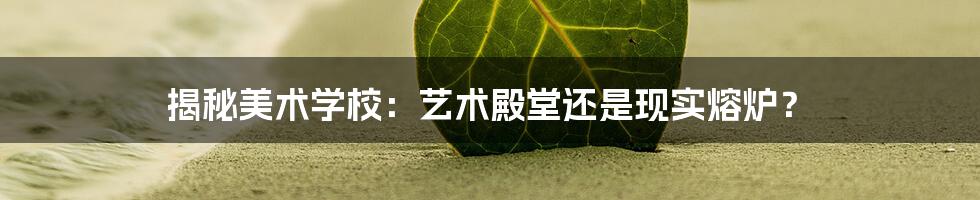 揭秘美术学校：艺术殿堂还是现实熔炉？