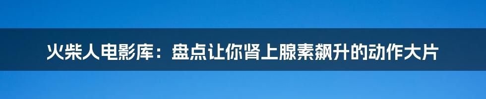 火柴人电影库：盘点让你肾上腺素飙升的动作大片