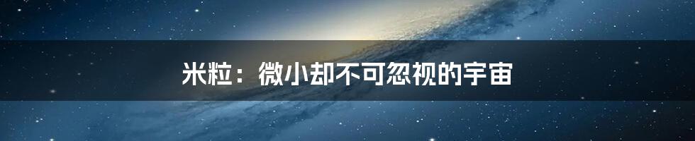 米粒：微小却不可忽视的宇宙