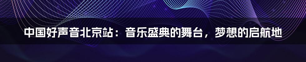 中国好声音北京站：音乐盛典的舞台，梦想的启航地